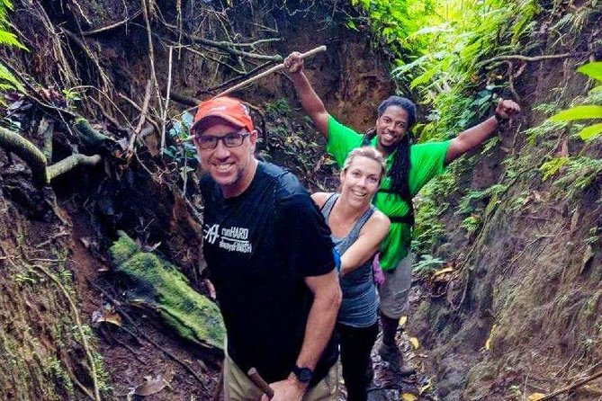 Volcano Crater Hiking Tour in St Kitts - What Mount Liamuiga offers beyond St. Kitts’ beaches