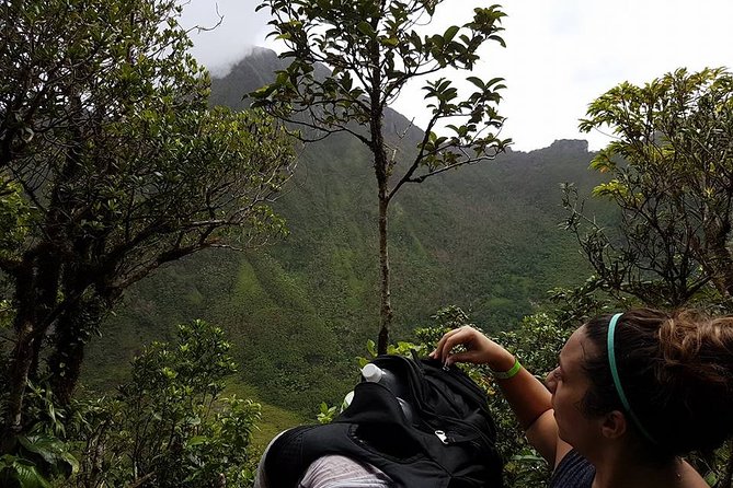 Volcano Crater Hiking Tour in St Kitts - Why the rainforest section can be harder than expected