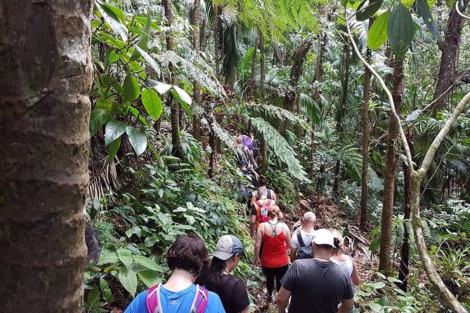 Volcano Crater Hiking Tour in St Kitts - The descent is not an easy afterthought