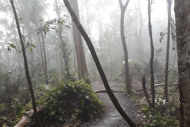 Volcano Crater Hiking Tour in St Kitts - The guiding style and group experience