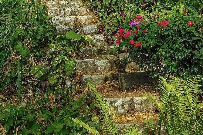Wingfield Rainforest Adventure Hike and Caribelle Batik stop - Two very different sides of St Kitts in three hours