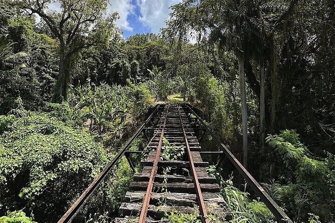 Wingfield Rainforest Adventure Hike and Caribelle Batik stop - What the three-hour schedule really means