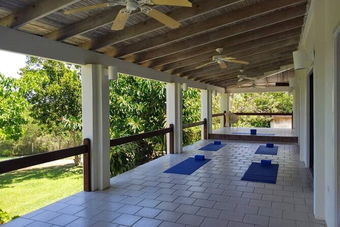 Yoga and Meditation, Group or Private Sessions in Nevis - Why yoga works especially well on Nevis