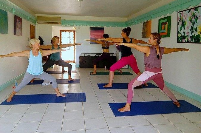 Yoga and Meditation, Group or Private Sessions in Nevis - What the $20 price really offers