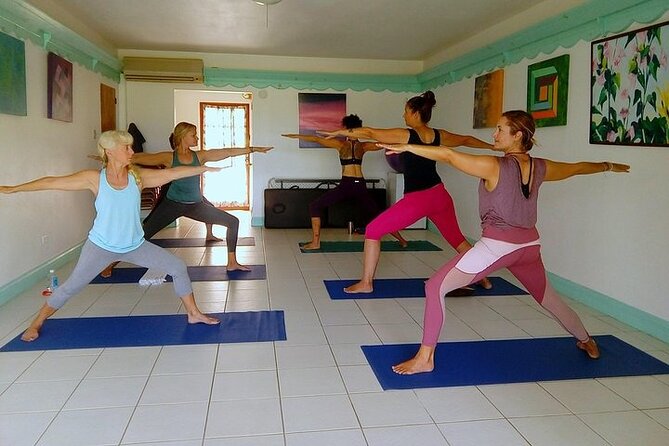 Yoga and Meditation, Group or Private Sessions in Nevis - Who will enjoy this Nevis yoga experience most?